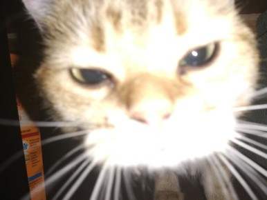 ������ �������: ��� ������ �����, �������� �� �����