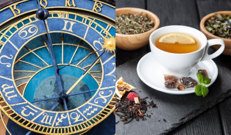 ��� ��� �����: ����� ������� �������� ������ ����� ������� � 2026 ����