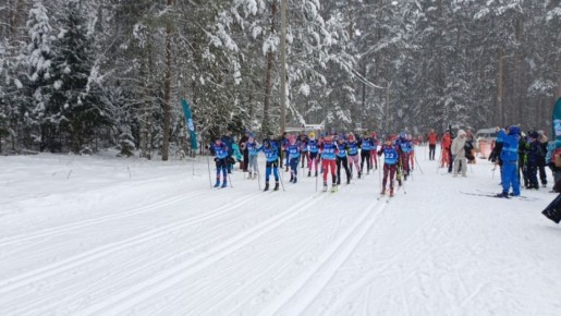 Более 16 тысяч человек приняли участие в физкультурных мероприятиях во Владимирской области в зимние каникулы