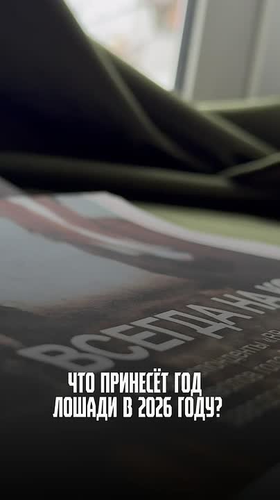 Первый в 2026-м еженедельник «Владимирских ведомостей» мы посвятили, конечно же, живому символу года - лошади