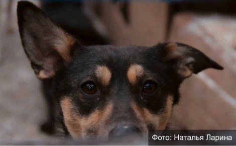 ������ ������ ������� ������������� ����� ����� � 13 ��� ������: ����������������� ���� ������ ��������� �������� "������ �����" ��������� ���������� ��������� ������������ ������� ��� ������������ ��������� �������� ��...