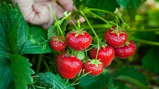 ������ ��������: ��������� ����� � ��������