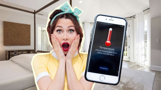 ��������� ����������� �������? ������ �������� ����� ������ ���� ��������