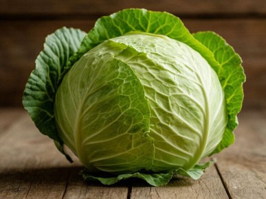 ��� ��������� �������� ������� �� �����: ������ ���������