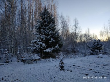 ����������� ������ ���������: ���� ����� �� ����� ������?