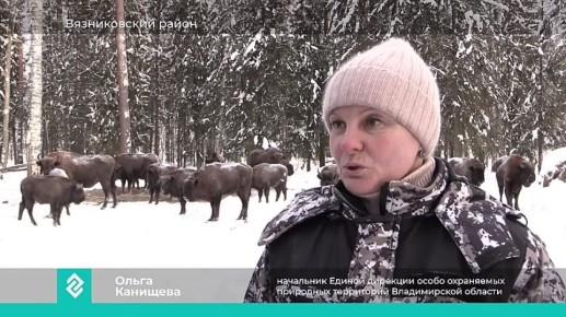 � �����������-������� ��������� ��������� ��������� ������������ �����