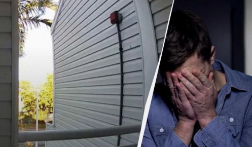 � �������� ����������: ��� ����� ������ ����� �������� �� �������