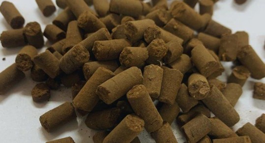 ��������� � ���������: ��������������� ������������ ��������� ����� ������������� ���� ��� ����������� ��������� ���������