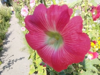 ������: �����, ������� � ���� � �������� ������