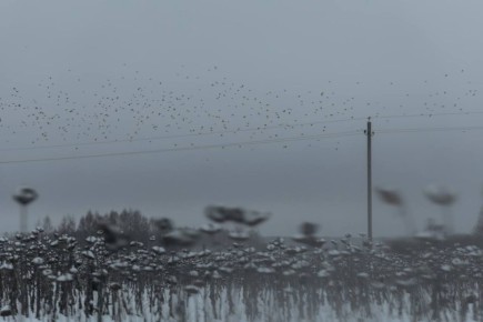 А мы предлагаем вам снежную фотогалерею из глубинки