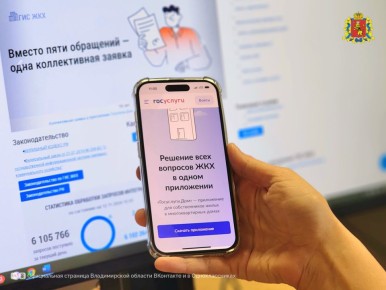 Более 166 тысяч жителей Владимирской области уже оценили удобство приложения «Госуслуги.Дом»