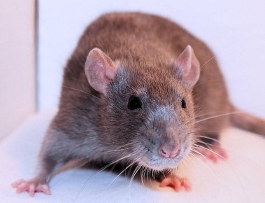 ��� �� ������� ����� � ����: �������� ������