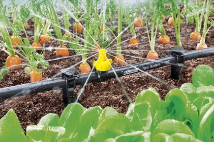 ��� ��������� �������� ���, ����� �������� �� �������� �� �����