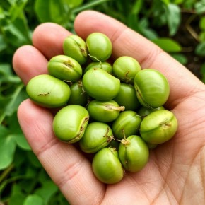 ����� ��� �������: ����������� ������� ������ � �������