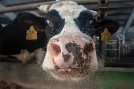 ����� ���� ������: ���� �������������� ���� �� �������� ������ � ������� ����� �����