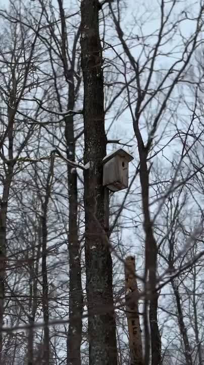 «Неделя пролетела, а мы успели!» – наши итоги