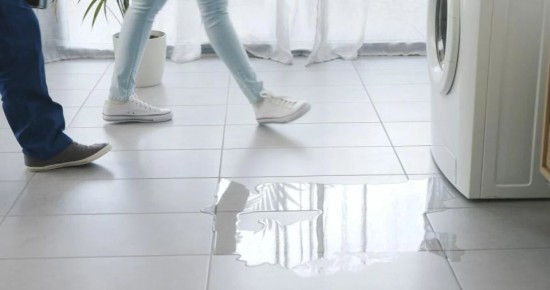 ������ ����� ���������� �������: 6 �������� ������