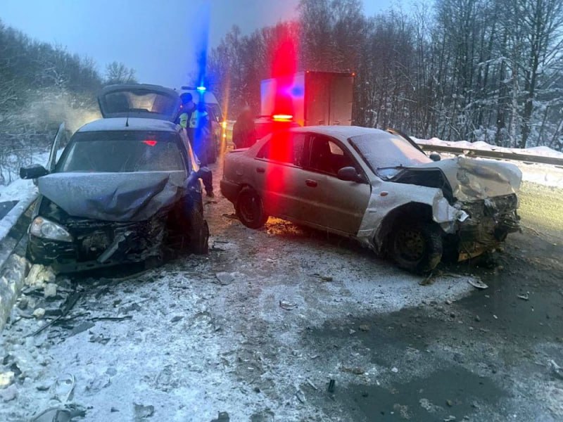Два человека пострадали в ДТП в Муромском округе