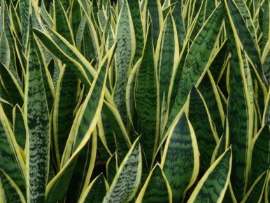 ������� ���� ��� ��������� ������������ ��� �������� �������� � ��� ������������