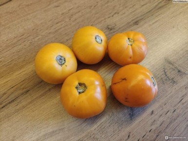 Непасывающийся желтый томат: простой выбор с ранним урожаем и ярким вкусом