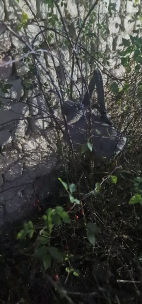 ��������. �� ������� �������� �������� � ��� ��������� ���� � ������� ������������ ����������� ���������� ��������� ���������� ������������� ���������� � ��������� �������� ������