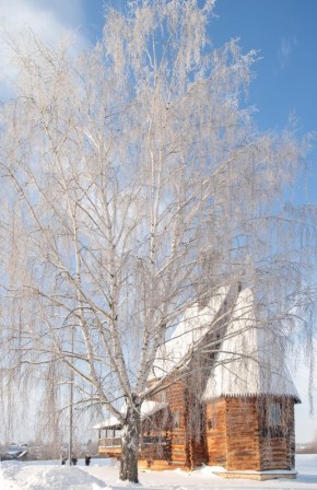 Мороз крепчает: на смену снегопадам в регион возвращаются холода
