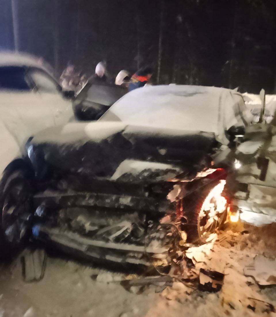 Спасатели областного отряда деблокировали пострадавшую в ДТП на М-12 в Петушинском округе Спасатели областного отряда деблокировали пострадавшую в ДТП на М-12 в Петушинском округе