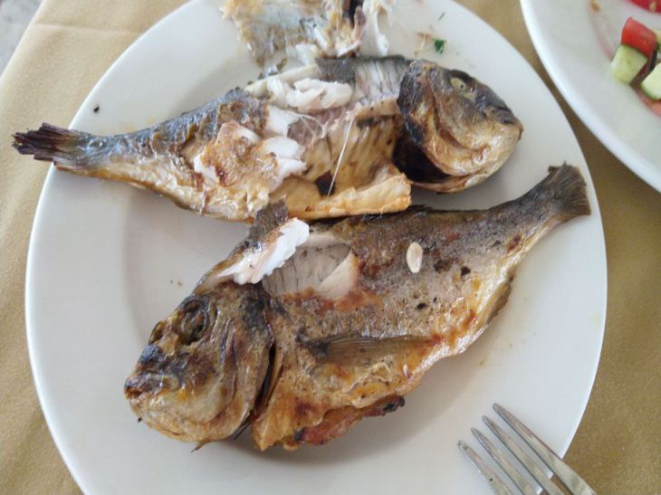 Филе морского окуня вас разорит? Попробуйте эту рыбу, которая вкуснее и в 3 раза дешевле