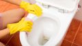 Желтая полоска на унитазе исчезнет сама: вот на какую хитрость идут опытные хозяйки