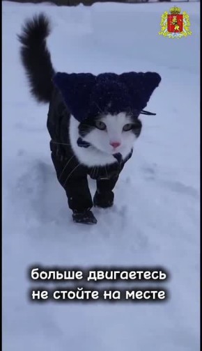 Мороз и солнце — это про сегодняшний день