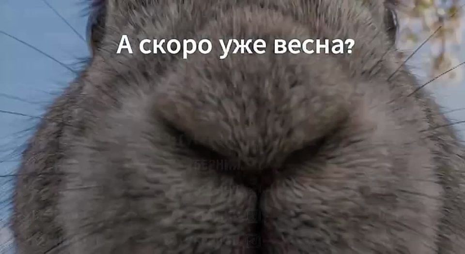 В первый понедельник февраля будет морозно и снежно