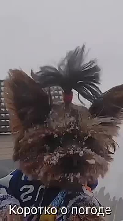 Доброе утро!. Первая неделя февраля обещает быть по-настоящему холодной