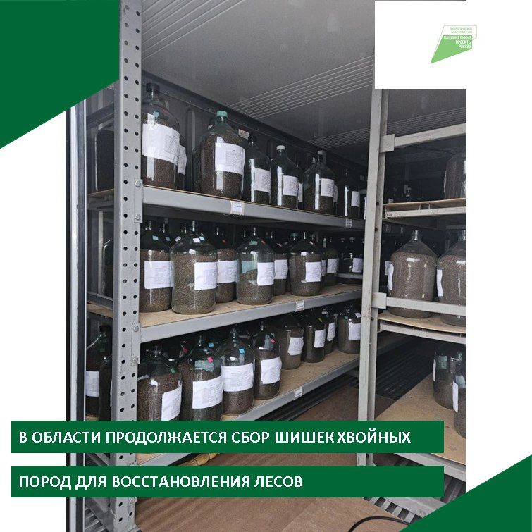 �� ������������ ������� ��������� 13 ���� ����� ����� ��� ������������������