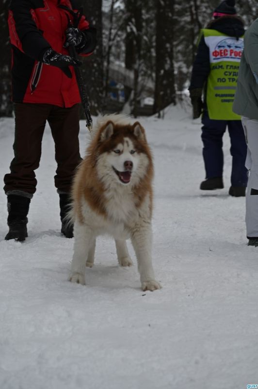 ������ � �����. � ����-����������� ������ � ��������� �������� ������ ����� ����� ����� Crazy Dog�