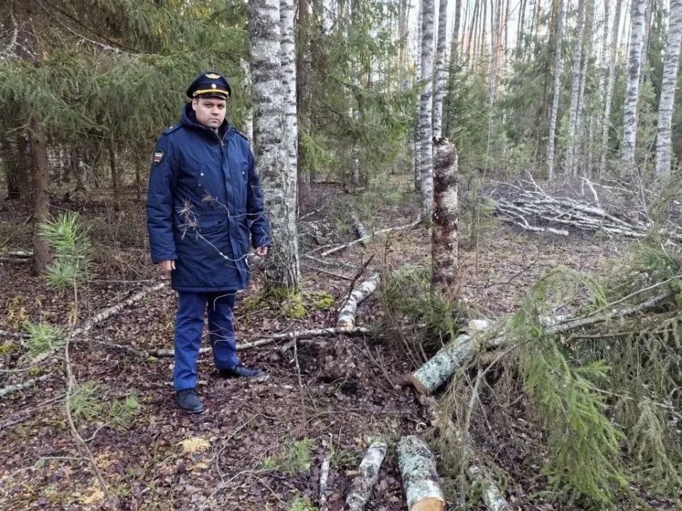 ��������. ������������� ��������������� �������� �������� � ��� ��������� ���� � ���������� ����� ������ ���������� ������������ ��������������� ������������ ��������� � ��� �� ������������� ����������� ����� ���������...