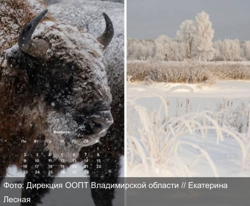 �������� �� ��������� � ����� ��������