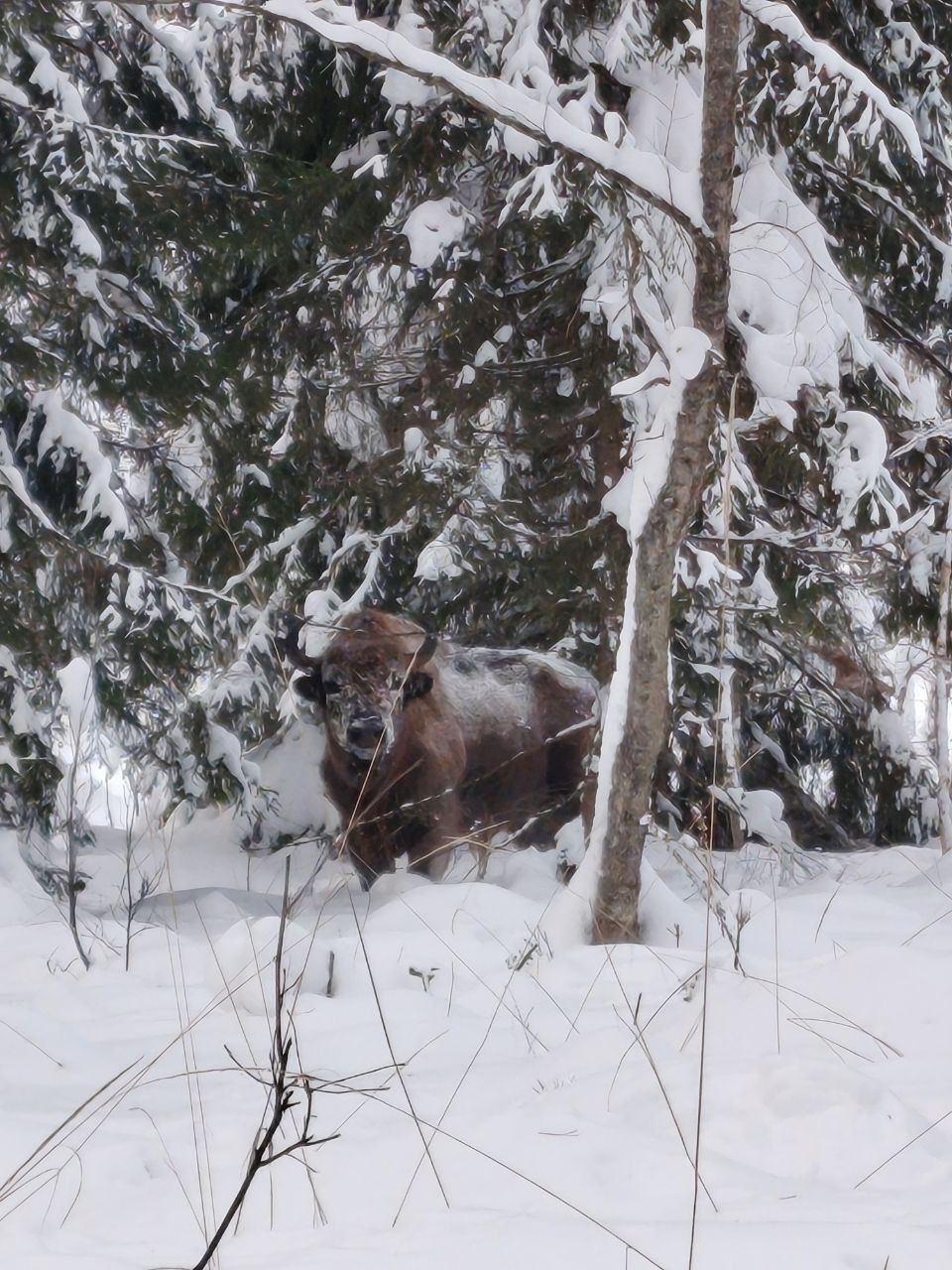 Доброе утро. Начнем его с новостей из мира природы