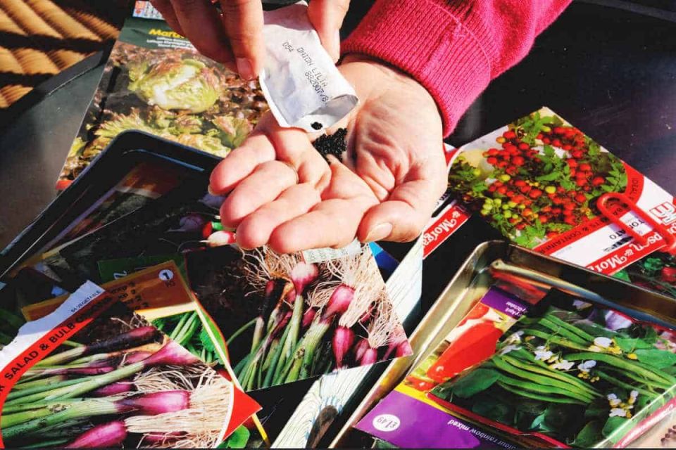 Инвентаризация семян: за 30 минут к идеальному саду