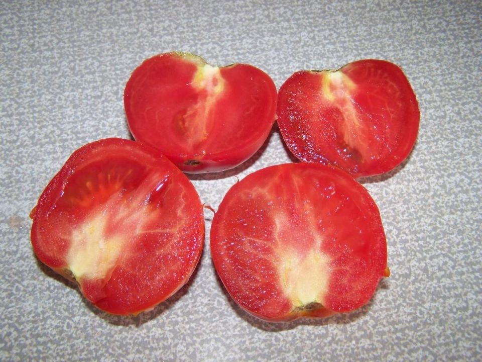 Глубокие белые прожилки в томатах: что они говорят о вашем уходе?