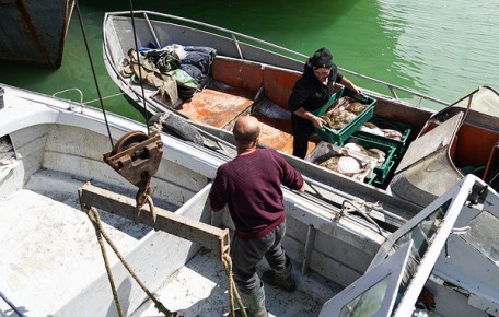 ���������� ����������� �����: ����� ����������� ��� ������ �������������� ������