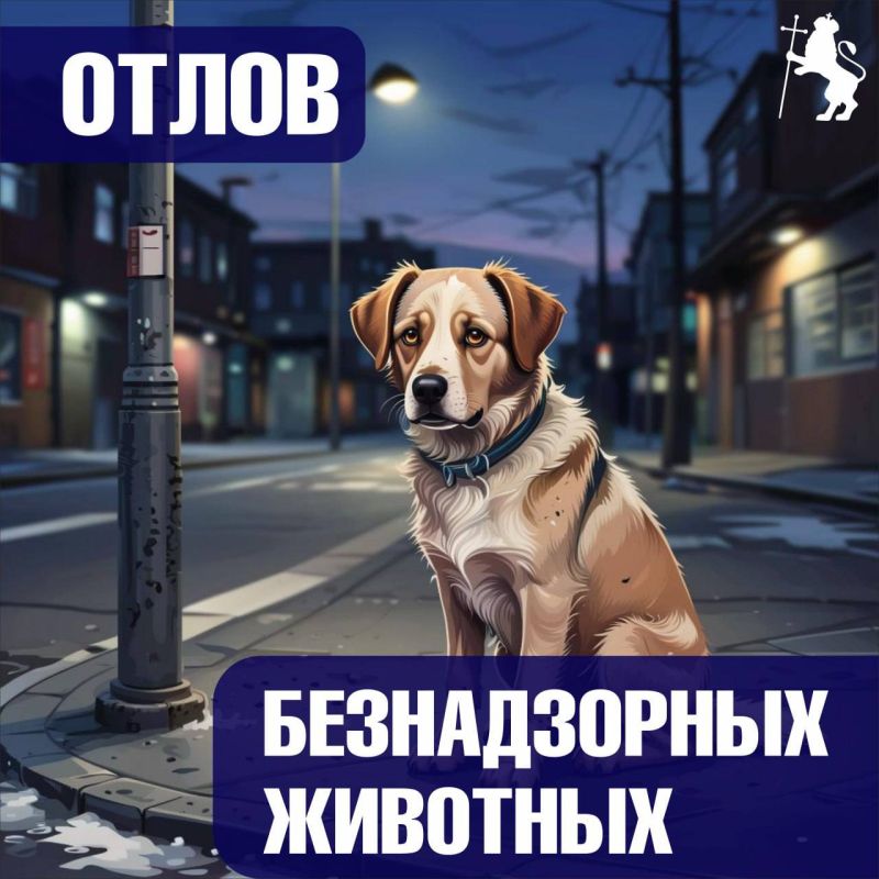 �� ������ ������������ �������� � ������ ���������