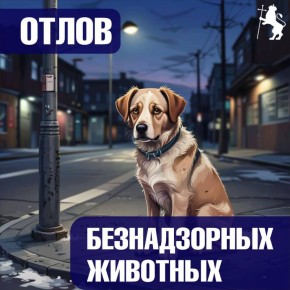 �� ������ ������������ �������� � ������ ���������