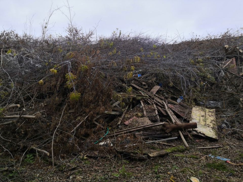 В Коврове прокуратура добилась ликвидации свалки площадью около 5 тысяч квадратных метров