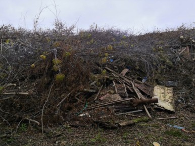 � ������� ����������� �������� ���������� ������ �������� ����� 5 ����� ���������� ������