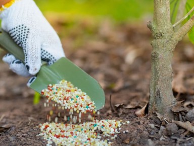 ��� ������� ��������� ������������ ������ �������� ����