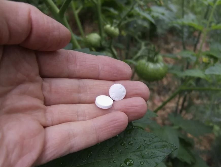 ������� ��� ���������: ��� ��������� ������� � �������� ������