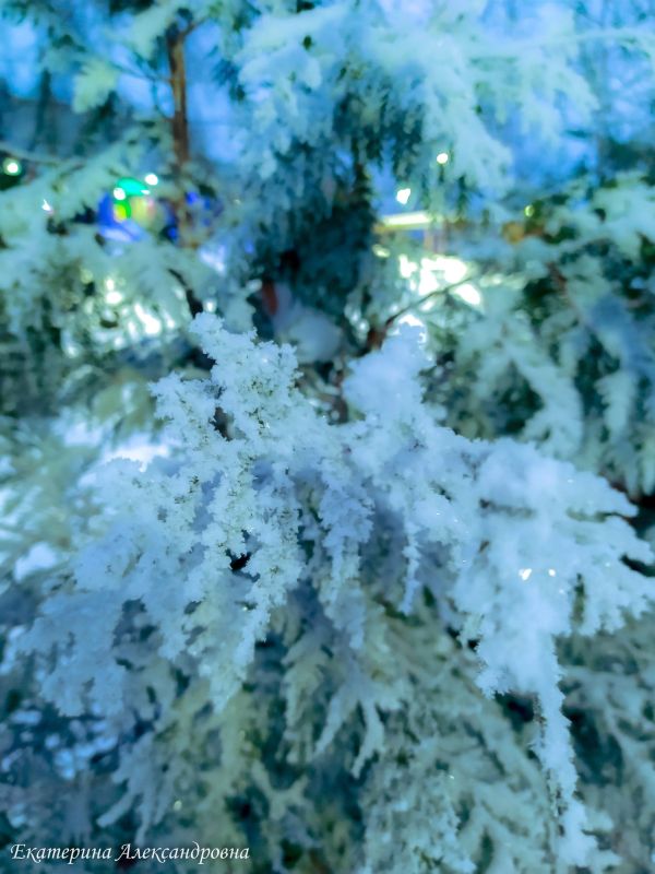 ������ � ������� ������� ������ �� ���������� � ����������