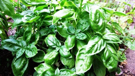 �������: ��� ���� ��������� ����� ����� �������� ���