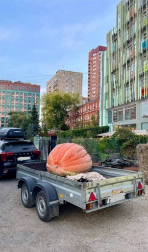 ���������� ����� ��� ����� ��������� � ������������ �������