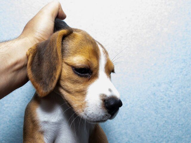 ��������� ������� ���� � ������� ������ �� �������� ��-�� ����������